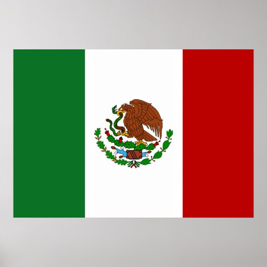 Mexico Flag ポスター (正面)