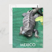 Mexico Postcard ポストカード (正面/裏面)