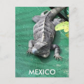 Mexico Postcard ポストカード (正面)