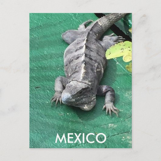 Mexico Postcard ポストカード (正面)