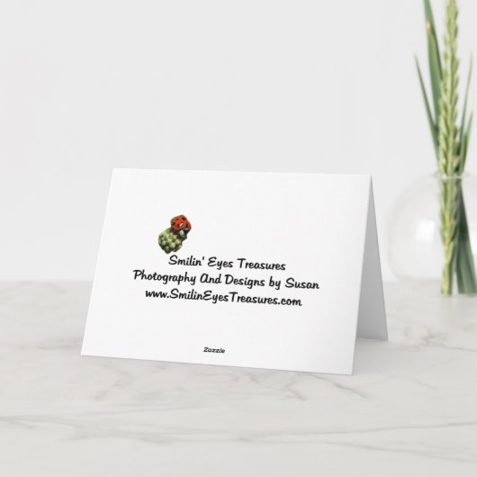 Meyersのオウムの動物のクリスマスの休日カード シーズンカード (裏面)