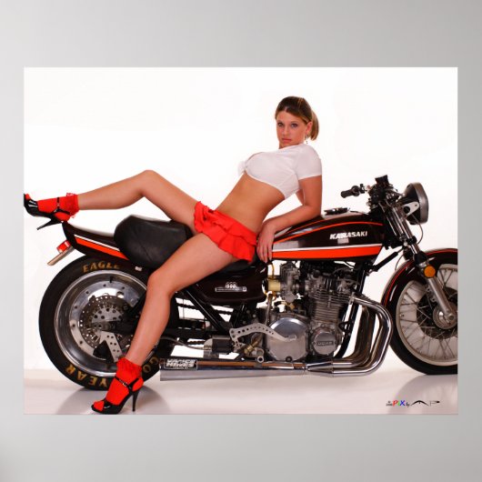 _MG_7804a  Cassie & The Z1 ポスター (正面)