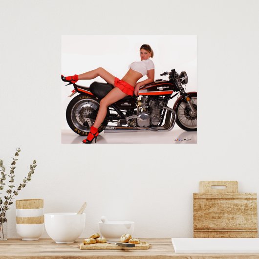 _MG_7804a  Cassie & The Z1 ポスター (キッチン)