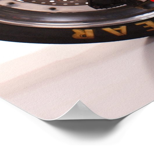 _MG_7804a  Cassie & The Z1 ポスター (角)