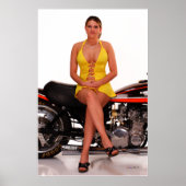 _MG_7878 ポスター (正面)