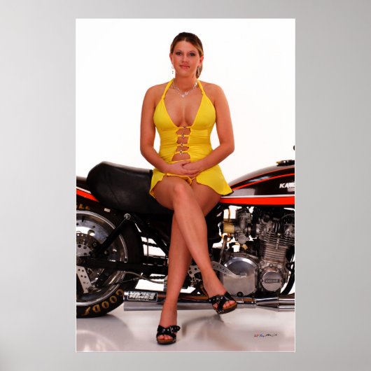 _MG_7878 ポスター (正面)