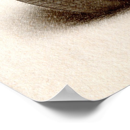 MG MGB MkII ポスター (角)