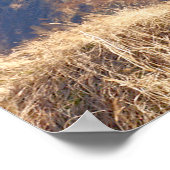 MH-60T JAYHAWK ポスター (角)