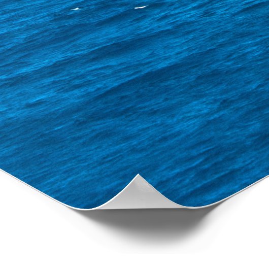 MH-65Dドルフィン ポスター (角)