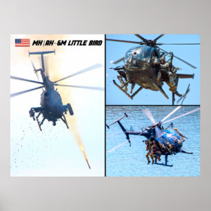 MH/AH-6M小鳥 ポスター