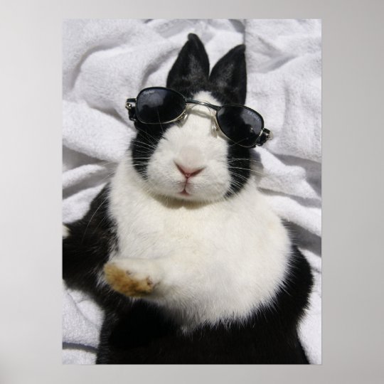 Mhrrのオランダの白黒のバニーウサギの夏ポスター ポスター Zazzle Co Jp
