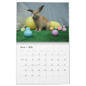 MHRR Honeybadgerのバニーウサギ12か月のカレンダー カレンダー (3月 2026)