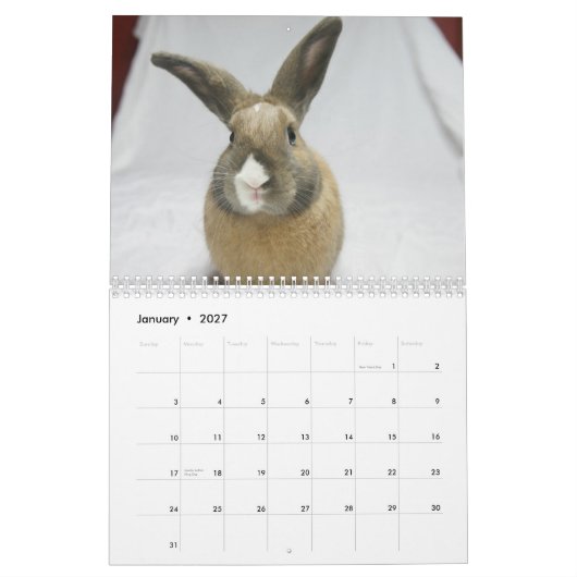 MHRR Honeybadgerのバニーウサギ12か月のカレンダー カレンダー (1月 2027)