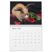 MHRR Honeybadgerのバニーウサギ12か月のカレンダー カレンダー (2月 2027)