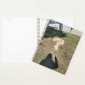 Mi agenda de preguntas  プランナー手帳 (ディスプレー)