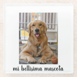 mi bellisima mascota ガラスコースター