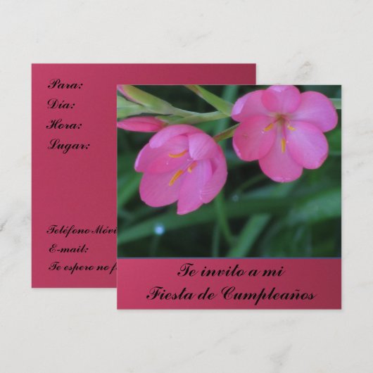 mi Fiesta de Cumpleanoss Invitación - Teのinvito 招待状 (正面/裏面)