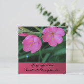 mi Fiesta de Cumpleanoss Invitación - Teのinvito 招待状 (スタンド正面)