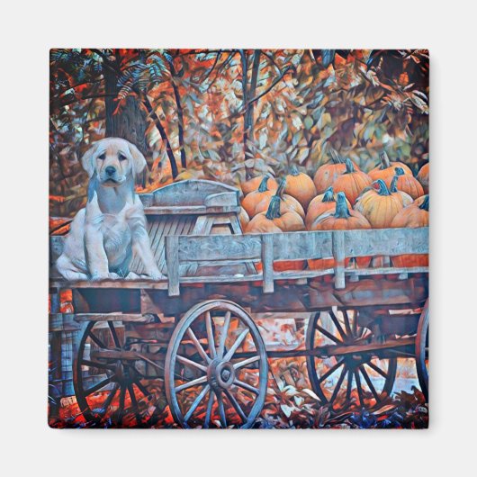 Miaマグネット マグネット (正面)