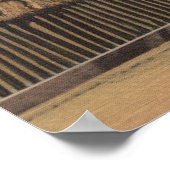 Miami, FL - Greyhound Dog Race at Kennel Club ポスター (角)