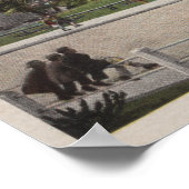 Miami, Florida - View of Bayfront Park & Hotels ポスター (角)