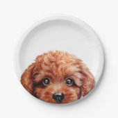 miartによるトイプードルの赤茶色のオリジナル ペーパープレート (正面)
