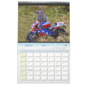 Mice - George the mouse in a log pile house Calend カレンダー (2月 2026)