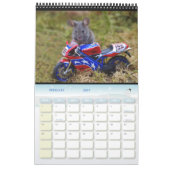 Mice - George the mouse in a log pile house Calend カレンダー (2月 2027)