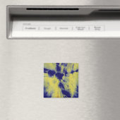 Michael MoffaによるTye染料組成#11 マグネット (インサイチュ (食洗機))