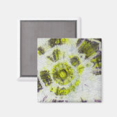 Michael MoffaによるTye染料組成#3 マグネット (正面/裏面)