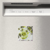 Michael MoffaによるTye染料組成#3 マグネット (インサイチュ (食洗機))