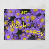 MichaelmasデイジーCust.Get Well Soonはがき ポストカード (正面)