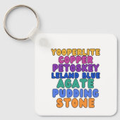 Michigan Rock Collectors Rockhound Keychain キーホルダー (正面)