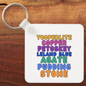 Michigan Rock Collectors Rockhound Keychain キーホルダー (正面)