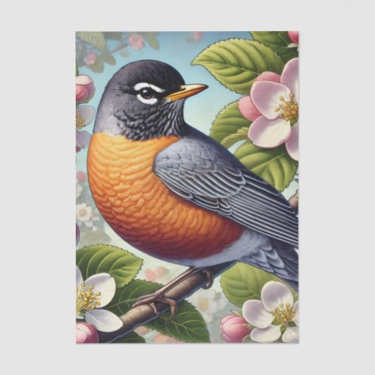 Michigan State Bird American Robin 薄葉紙 (正面)