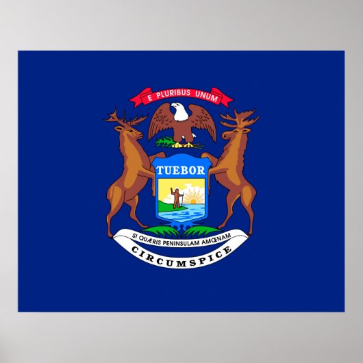 Michigan State Flag Design ポスター (正面)