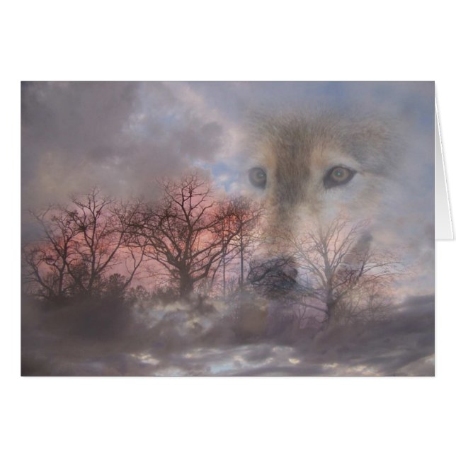 michiwgpostercards (正面横)