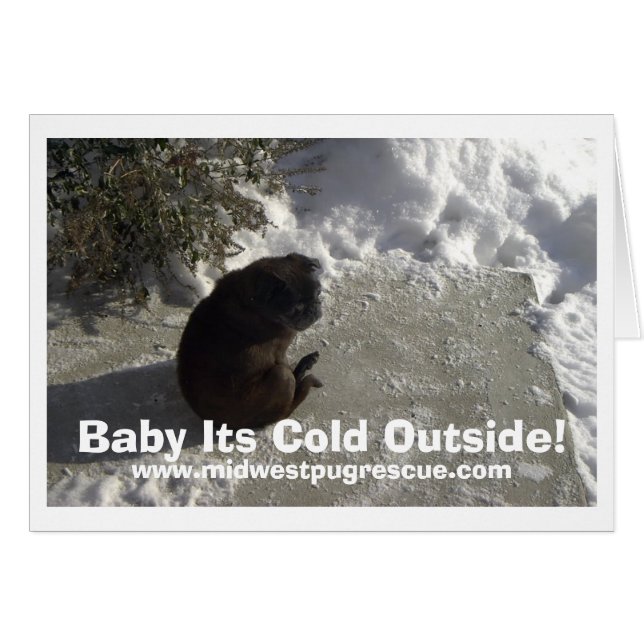 mickeyの雪日、ベビー冷たい外側!  、WWW…. (正面横)