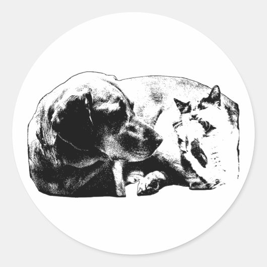 Micro Ceasefire ラウンドシール (正面)