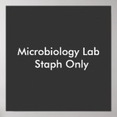 Microbiology Lab Staphのみ ポスター (正面)