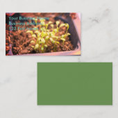 Microgreens 名刺 (正面/裏面)