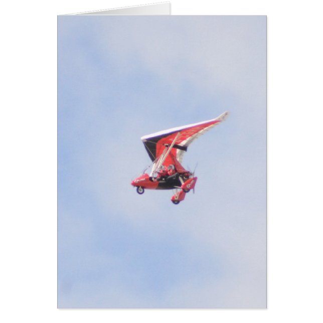 Microlightの飛行機 (正面)