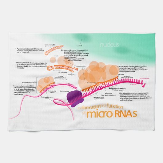 microRNAの図表 キッチンタオル (横)