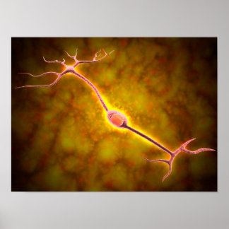 Microscopic View Of A Bipolar Neuron ポスター