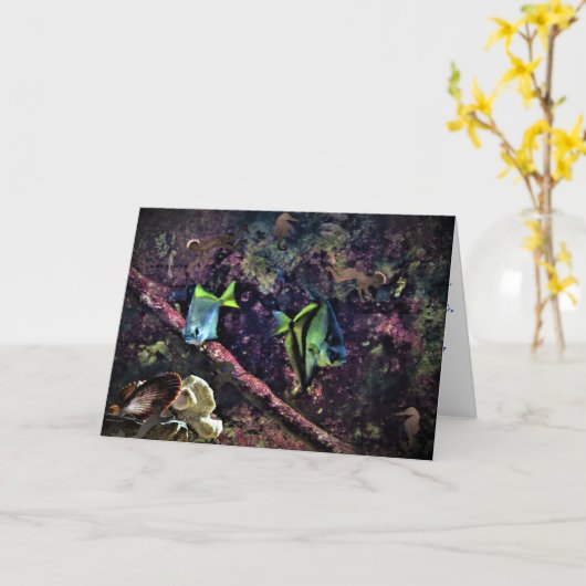 "Middle - Mermaid Hold"お祝いカード カード (黄色い花)