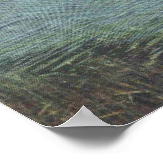 Middletown NY, Midway park, Wallkill River, Old ポスター (角)