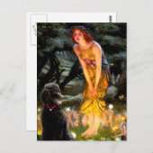 MidEve-Standardブラックプードル(T) ポストカード (正面/裏面)