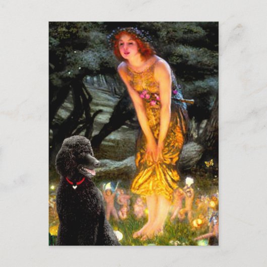 MidEve-Standardブラックプードル(T) ポストカード (正面)