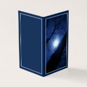 Midnight Full Moon Through Big Tree (外部)