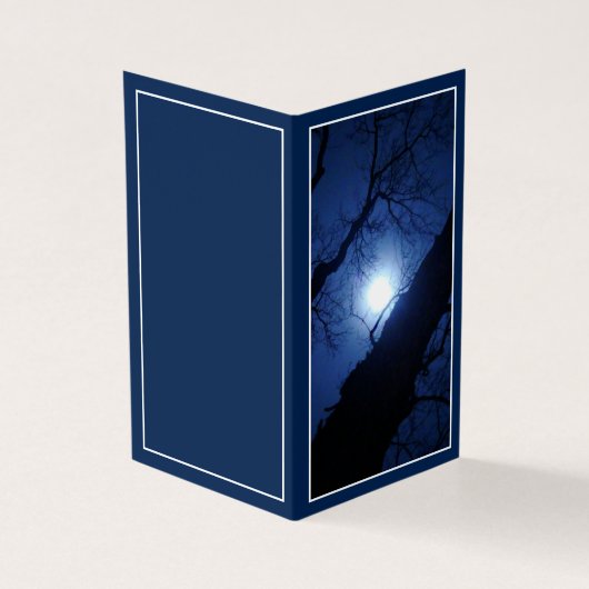 Midnight Full Moon Through Big Tree (外部)